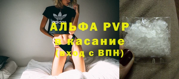 гашик Аркадак