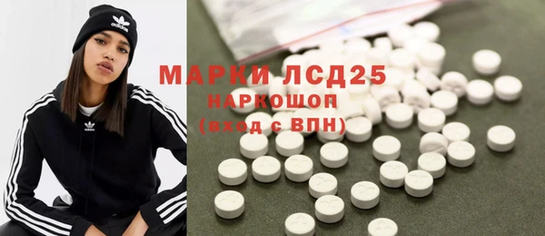гашик Аркадак