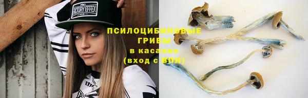 гашик Аркадак