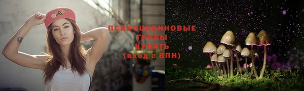 метадон Армянск