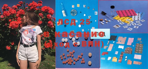 гашик Аркадак