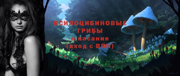 гашик Аркадак